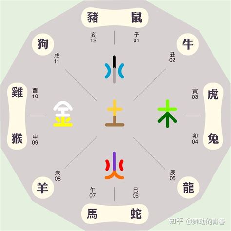 生肖馬五行|屬馬的五行（金、木、水、火、土）性格和命運分析